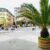 Blick auf den zentralen Leopoldplatz in Baden-Baden, im Vordergrund eine Palme
