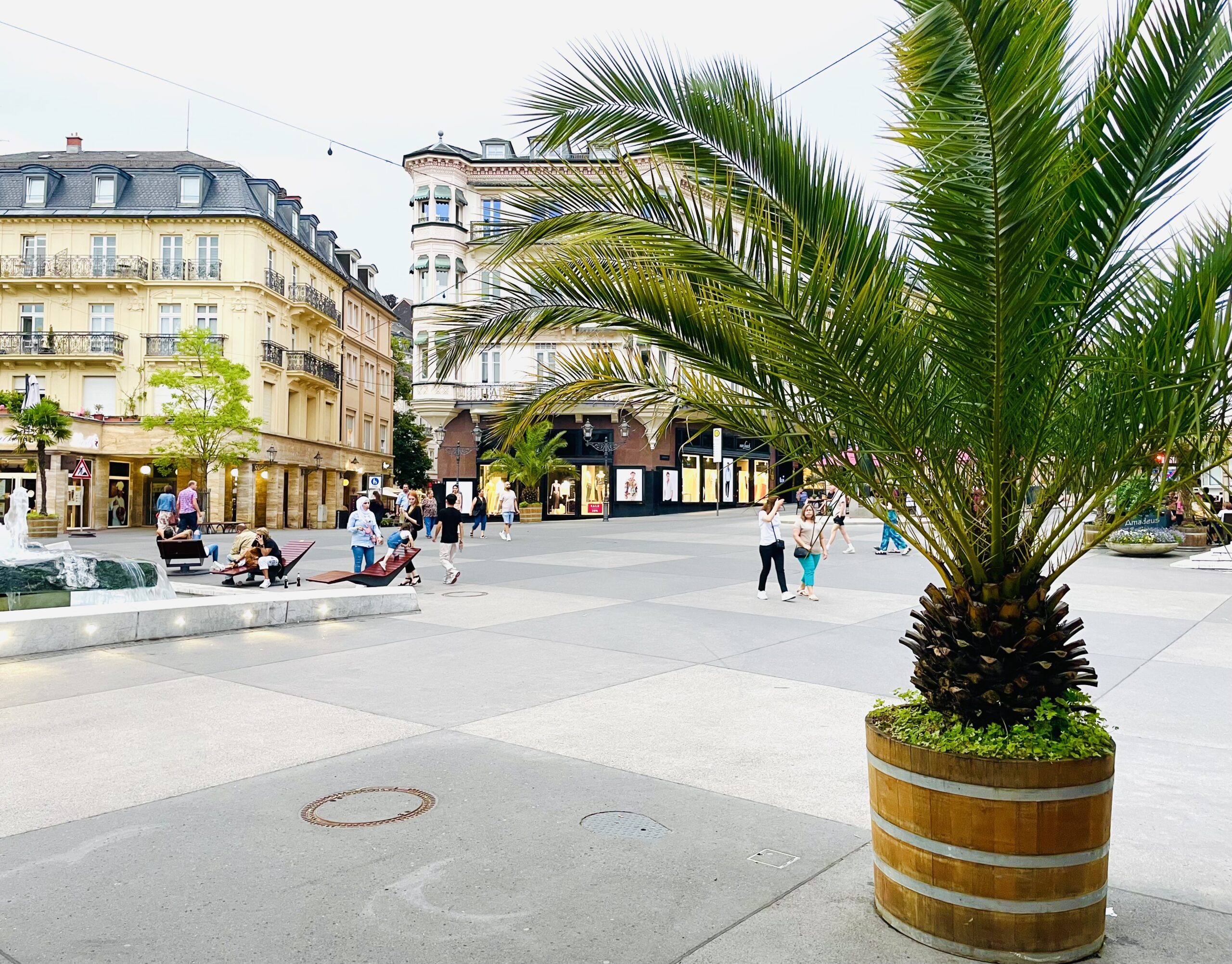 Blick auf den zentralen Leopoldplatz in Baden-Baden, im Vordergrund eine Palme